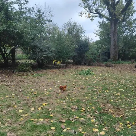 Le Relais Saint Michel Bed and Breakfast