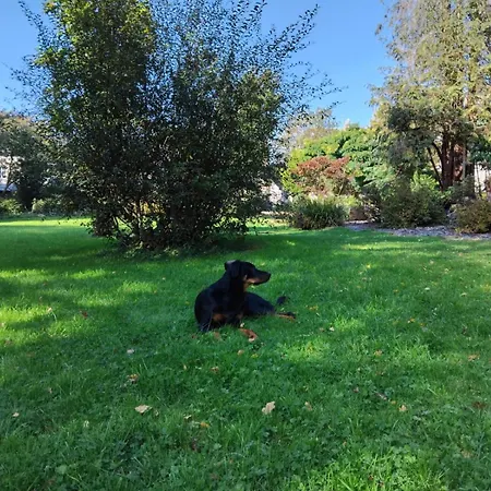 Bed and Breakfast Le Relais Saint Michel