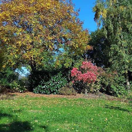 Le Relais Saint Michel Bed and Breakfast Domfront (Orne)