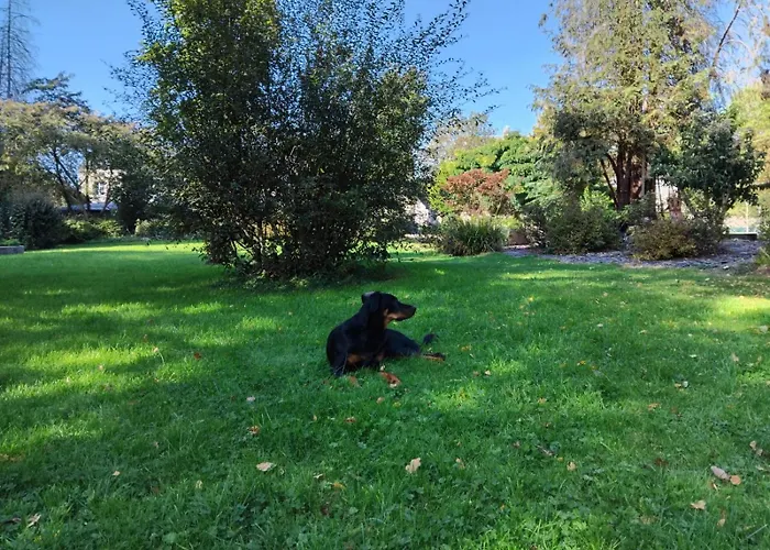Alojamento de Acomodação e Pequeno-almoço Le Relais Saint Michel