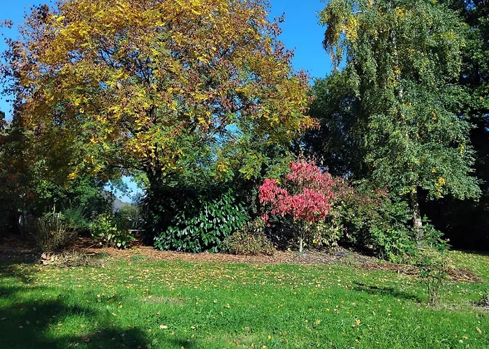 Le Relais Saint Michel Alojamento de Acomodação e Pequeno-almoço Domfront (Orne)